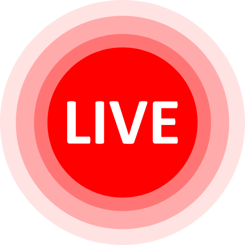 Emilycam